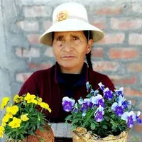 original sound - ideasderemigia