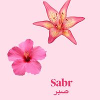 sabr0.04