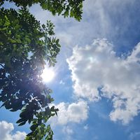 blueskys296