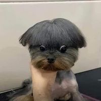 original sound - Lhia smith