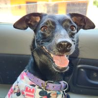 cata_la_princesa