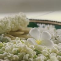 เสียงต้นฉบับ - สาววาย❤️❤️(◍•ᴗ•◍)✧*