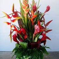 asma.rubab4