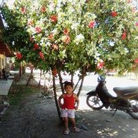 leslytaliaesparra