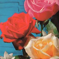 Hot people use this sound