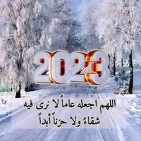 user9493375869503