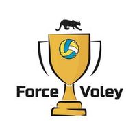 forcevoley