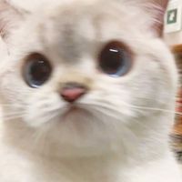 user6927725411184