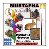 moustaphaeleveur5