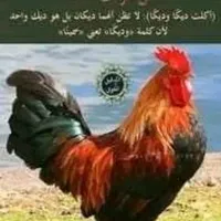 original sound - user9749926121396