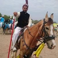 muhammad.adnan629