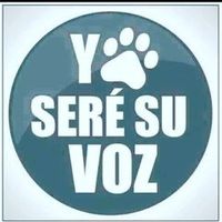perrosinhogar.col