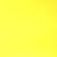 yellowthought1
