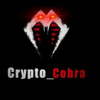 crypto.cobra.official