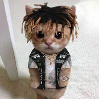 nexorouz