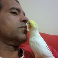 cristianoalmeida687