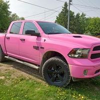 pinktrucklady_01