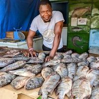 abdoulkouda33