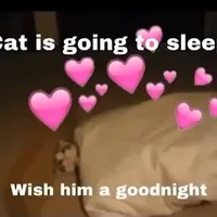 Tam Üzülücem diyorum