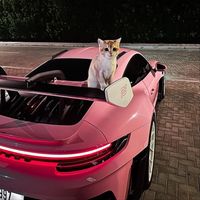 оригинальный звук