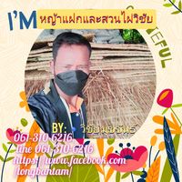 เสียงต้นฉบับ - หญ้าแฝกช้อป
