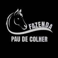 fazendapaudecolher_
