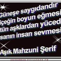 orijinal ses