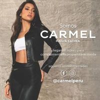 carmelperu.zonanorte