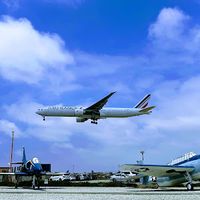 laxplanespotting