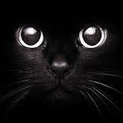 เสียงต้นฉบับ - Rainy Season