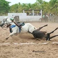 guilhermerocharocha0