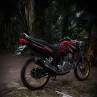 suara asli - alidpapoy