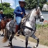 jorge.arce233