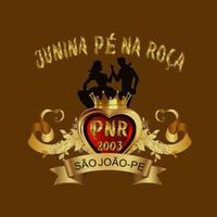 qj.p.na.r
