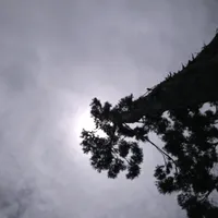 original sound - aab2906