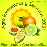 viverohnosdeguayabita