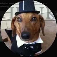 Idek I just kinda hoped on this trend