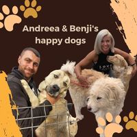 andreeabenji_happydogs