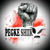 indgena.awajun.pe