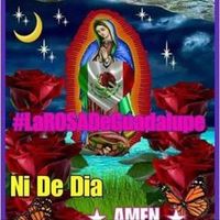 ana.ramrez4992