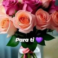 ramon.vilchez5