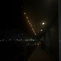 pepper_salt8