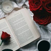 captivatingkuchronicles1