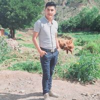 walterjimenezrojas