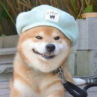 wulq