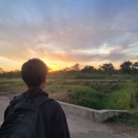 manuelnicolas_12