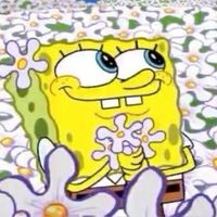 lollibobpants