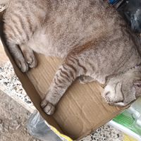 เสียงต้นฉบับ - แค่วันๆหนึ่ง