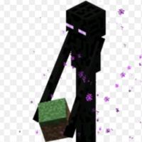 endermannpaula
