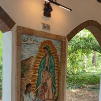 little_cholo_oficial